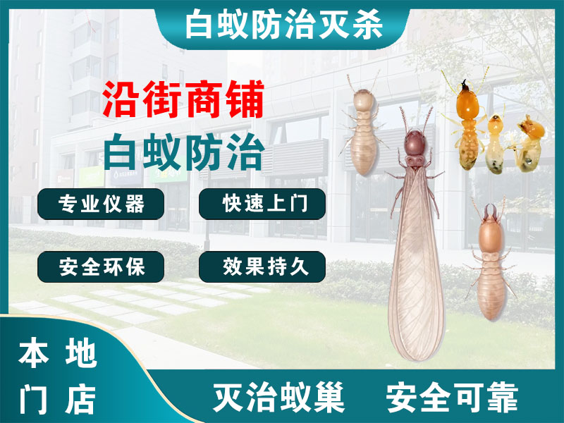 三门沿街商铺白蚁防治