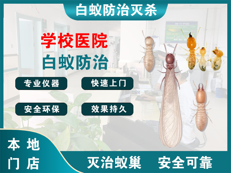 三门学校医院白蚁防治