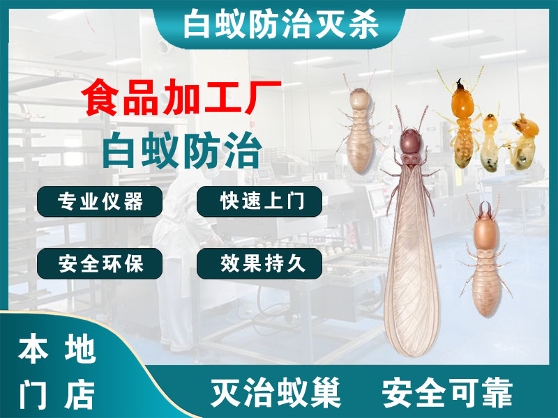 三门食品加工厂白蚁防治