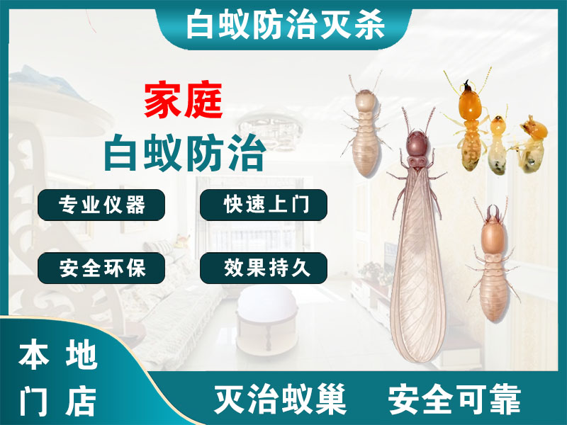 三门家庭白蚁防治