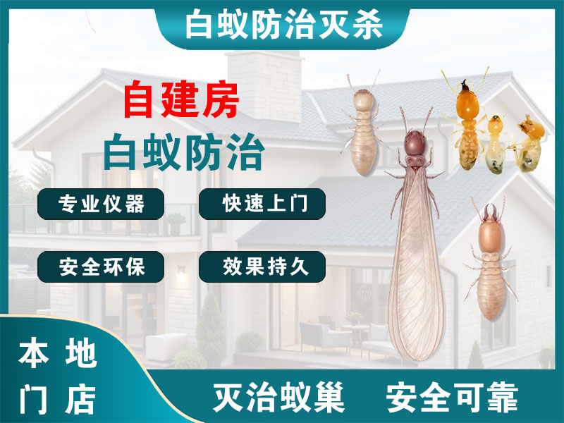 三门自建房白蚁防治