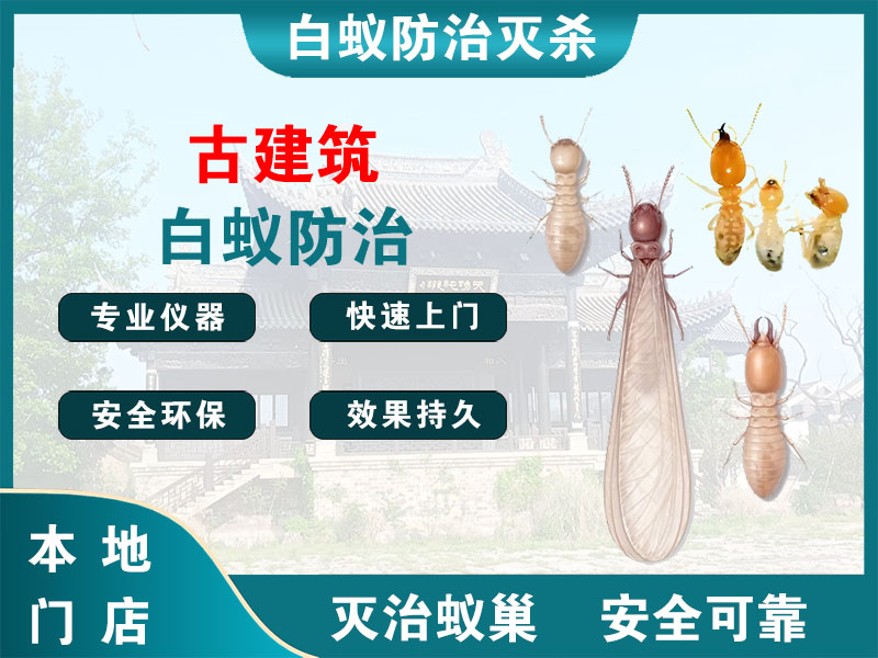 三门古建筑白蚁防治
