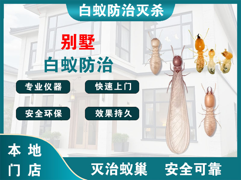 三门别墅白蚁防治