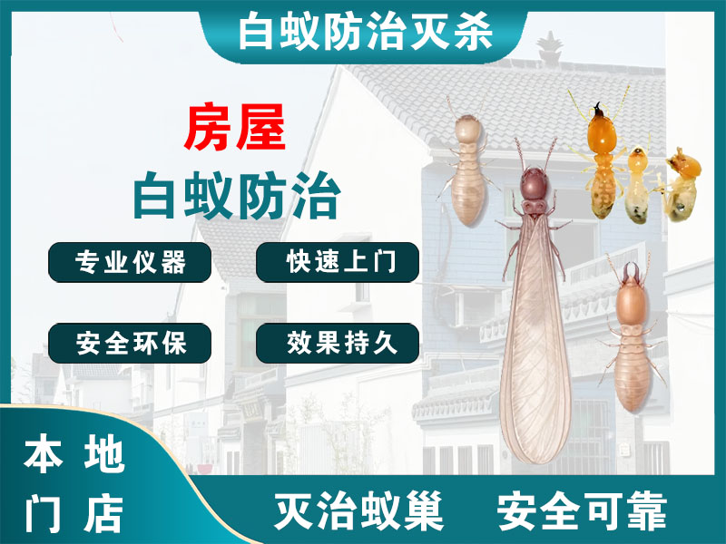 三门房屋白蚁防治